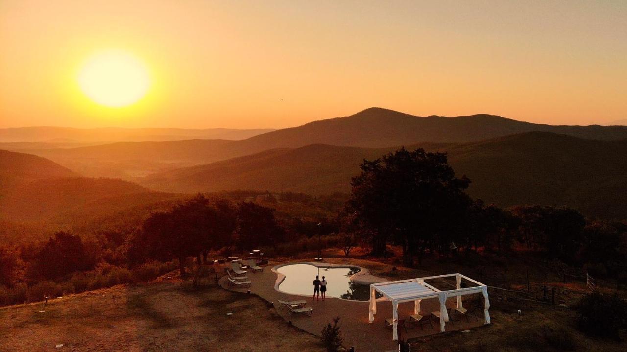 Vin - Wine And Agriturismo Farm stay *