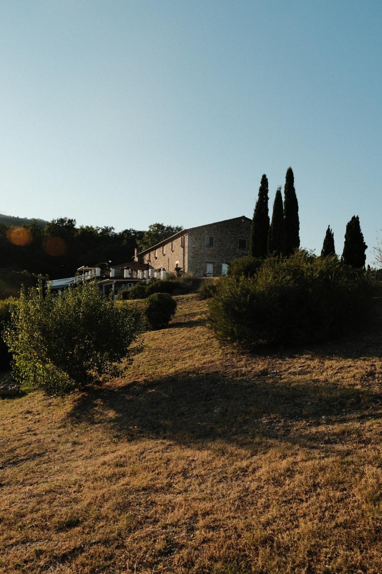 Vin - Wine And Agriturismo * Montieri