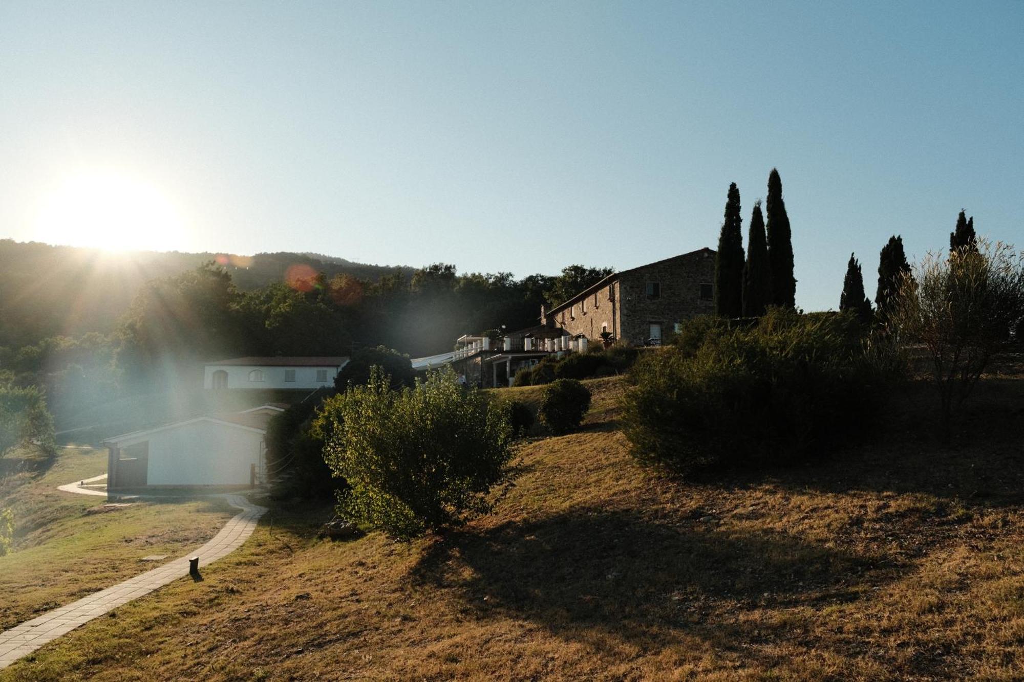 Vakantieboerderij Vin - Wine And Agriturismo Montieri