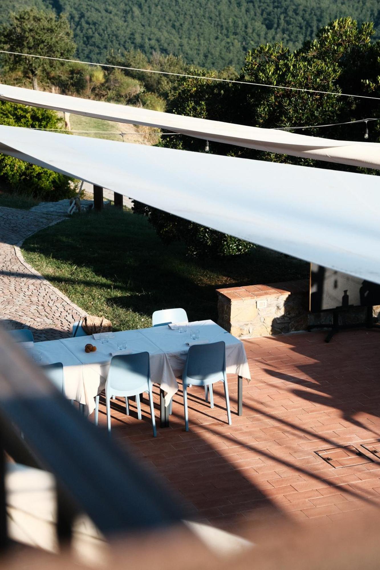 Vin - Wine And Agriturismo Montieri