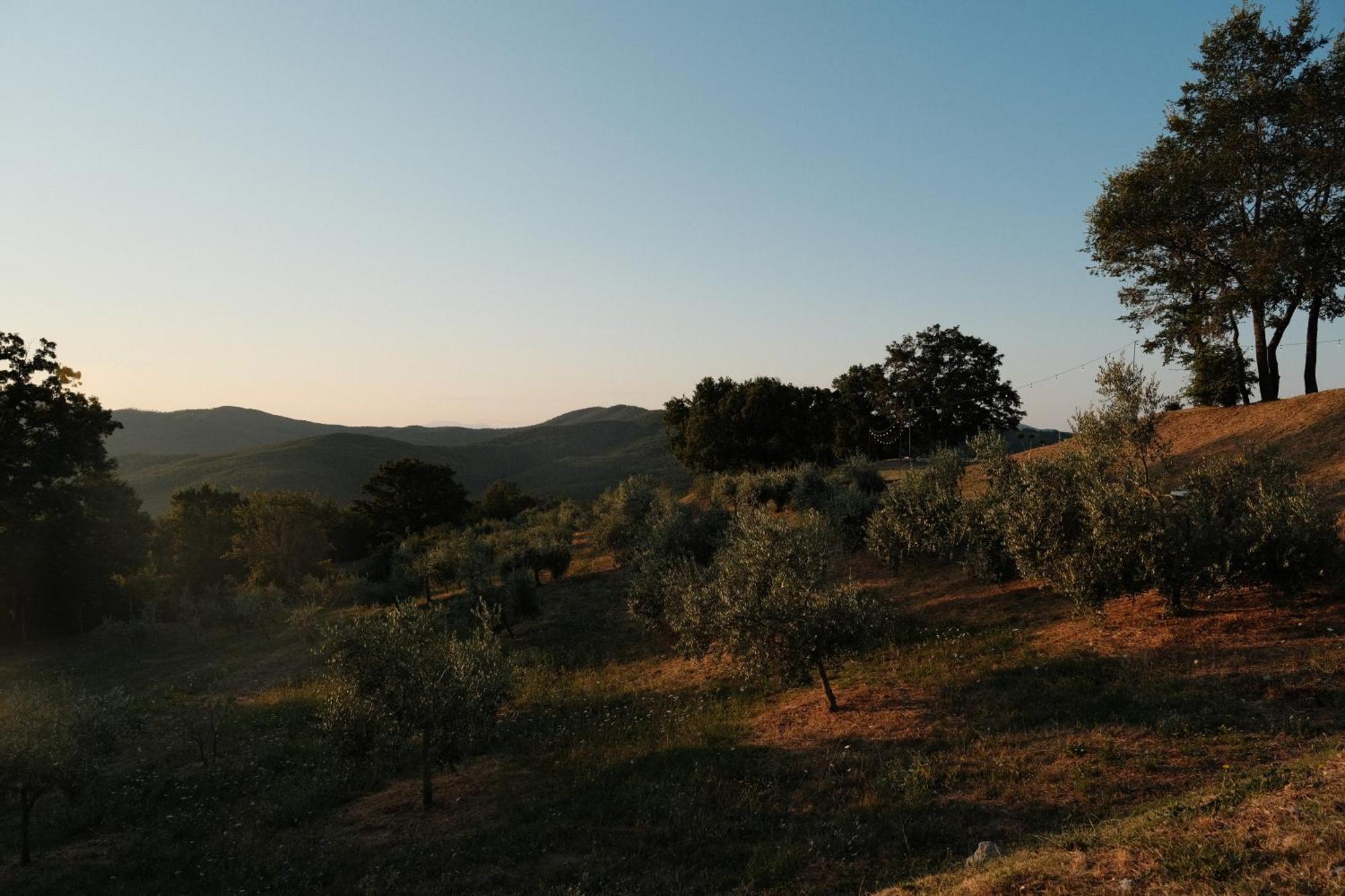 Farm stay Vin - Wine And Agriturismo *