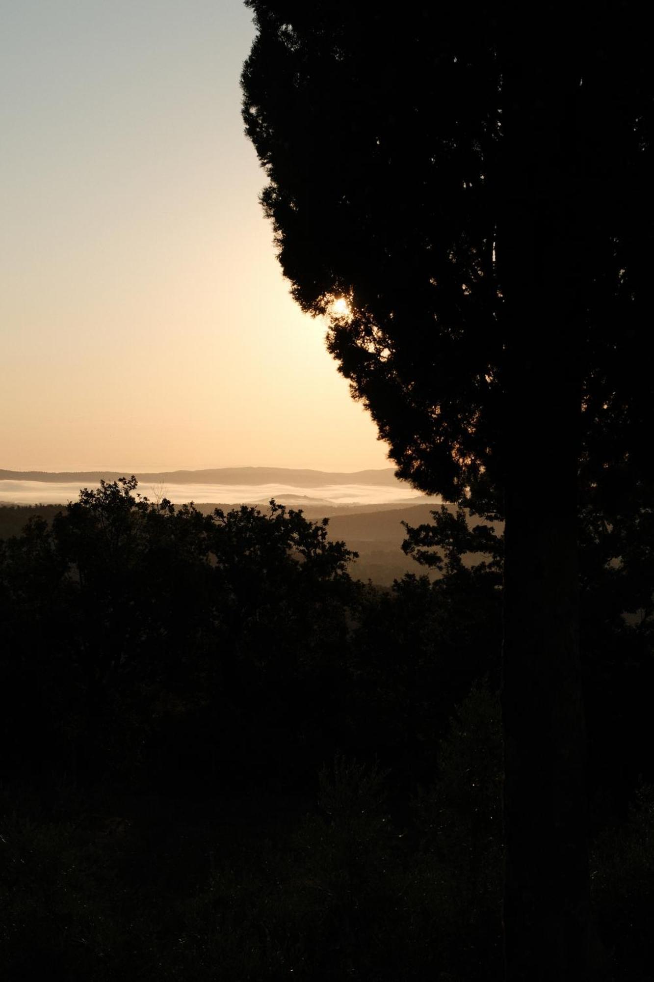 Farm stay Vin - Wine And Agriturismo Montieri