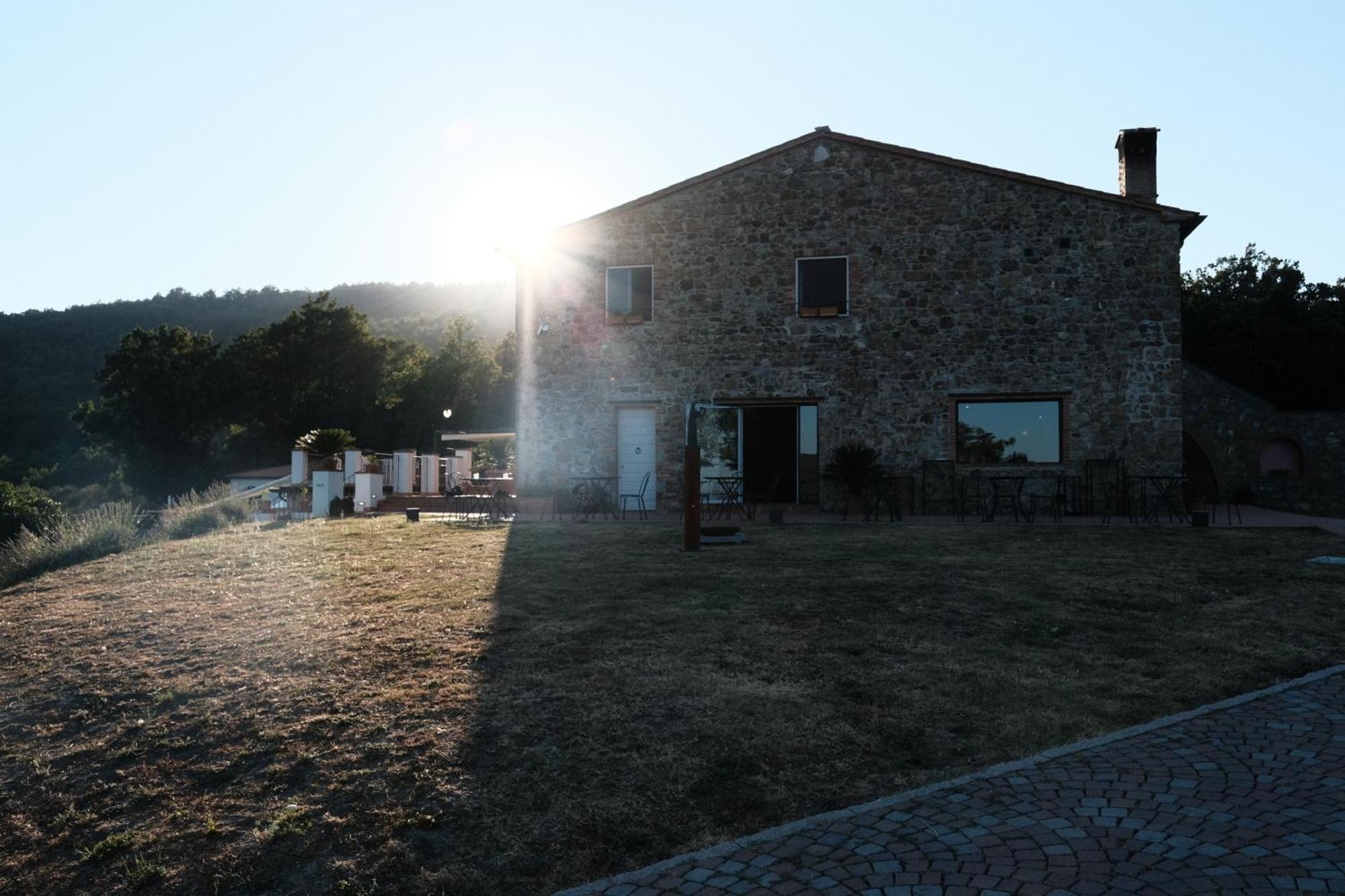 Vin - Wine And Montieri